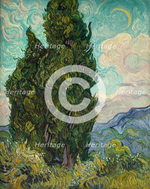 Cypresses. Artist: Gogh, Vincent, van (1853-1890)