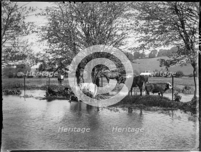 Chorleywood, Three Rivers, Hertfordshire, 1915. Creator: Katherine Jean Macfee.