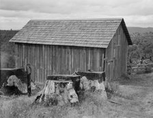 Part of stump farm, near Michigan Hill, Thurston County, Western Washington, 1939. Creator: Dorothea Lange.