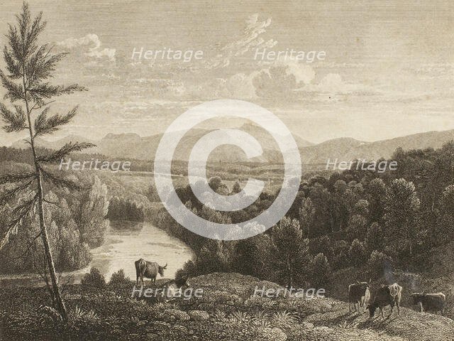 Catskill Mountains, n.d. Creator: Asher Brown Durand.