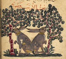 Two hares eating berries, 13th century. Creator: Unknown.