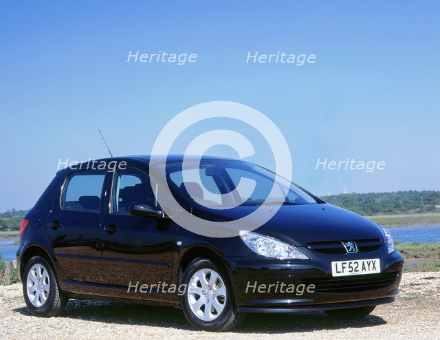 2002 Peugeot 307. Artist: Unknown.