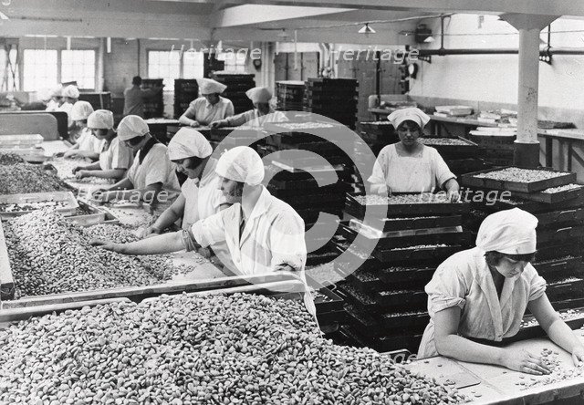 Women sorting nuts, Rowntree factory, York, Yorkshire, 1933. Artist: Unknown