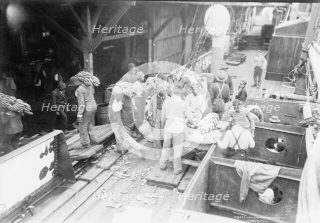 Unloading bananas, Mobile, Ala., c1906. Creator: Unknown.