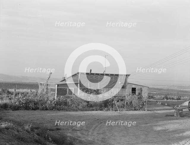 The home of a new farmer who has successfully established himself on the raw land, 1939. Creator: Dorothea Lange.