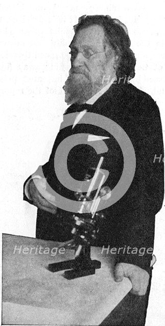 Ilya Ilich Mechnikov, Russian microbiologist. Artist: Unknown