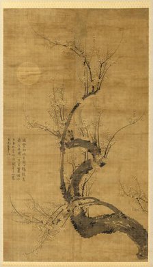 A Prunus in the Moonlight, 1300s. Creator: Wang Mian (Chinese, 1287-1359).