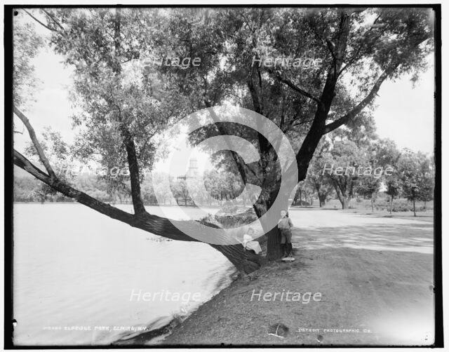 Eldridge Park, Elmira, N.Y., between 1890 and 1901. Creator: Unknown.