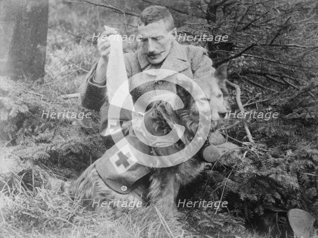 Bandages from kit of British Dog, between 1914 and c1915. Creator: Bain News Service.