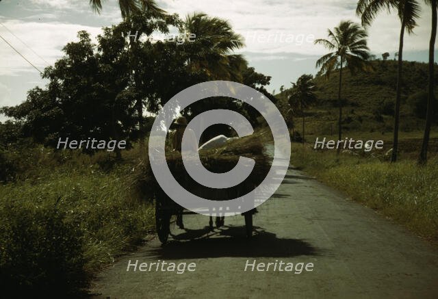 A farm road near one of the "villages" on the northern coast, St. Croix, Virgin Islands, 1941. Creator: Jack Delano.