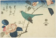 Bush warbler and camellia, n.d. Creator: Ando Hiroshige.