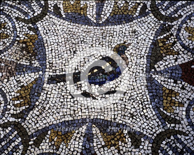 Mosaic in the Amphitheatre house representing a bird, preserved in the archaeological site of Mer…