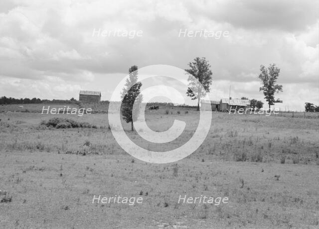 Farmhouse and landscape of Negro tenant family..., Near Pittsboro, North Carolina, 1939. Creator: Dorothea Lange.