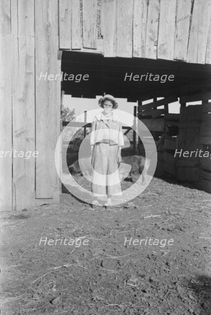 Dora Mae Tengle, Hale County, Alabama, 1936. Creator: Walker Evans.