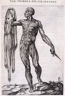 A flayed man holding his own skin, 1556.  Creator: Nicolas Beatrizet.