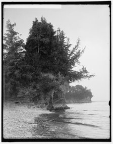 Webb's Point, Shelburne Farms, Vt., between 1900 and 1906. Creator: Unknown.
