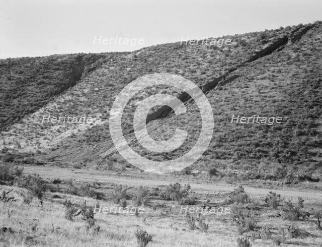 Water seepage from newly irrigated land..., Dead Ox Flat, Malheur County, Oregon, 1939. Creator: Dorothea Lange.