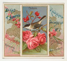 Chickadee, from the Birds of America series (N37) for Allen & Ginter Cigarettes, 1888. Creator: Allen & Ginter.