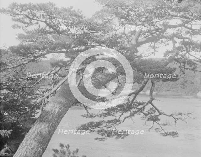 Travel views of Japan and Korea, 1908. Creator: Arnold Genthe.