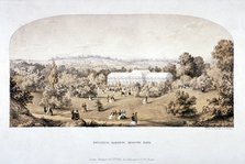 View of the Botanical Gardens in Regents Park, Marylebone, London, 1851. Artist: Anon