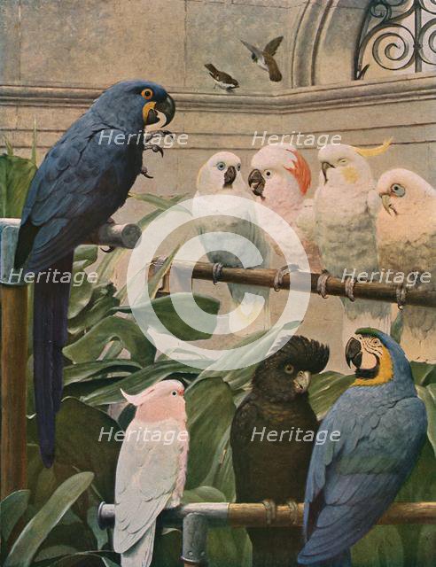 'A Select Committee', 1891, (c1930). Creator: Henry Stacy Marks.