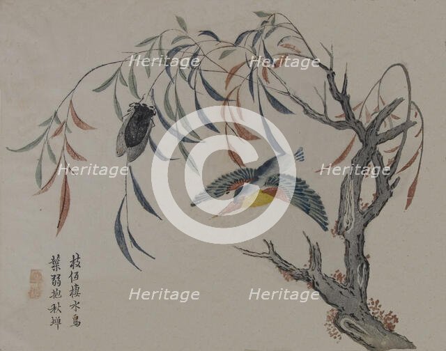 Kingfisher, Cicada, and Willow Tree, 19th century. Creator: Unknown.