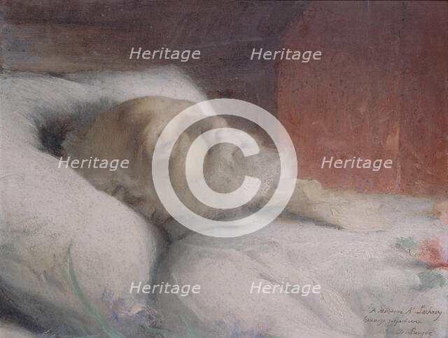 Victor Hugo on his deathbed, c1885. Creator: Desire Francois Laugee.