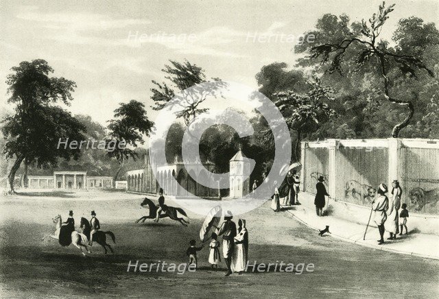 'The Menagerie in Barrackpore Park, 1820', (1925). Creator: Unknown.