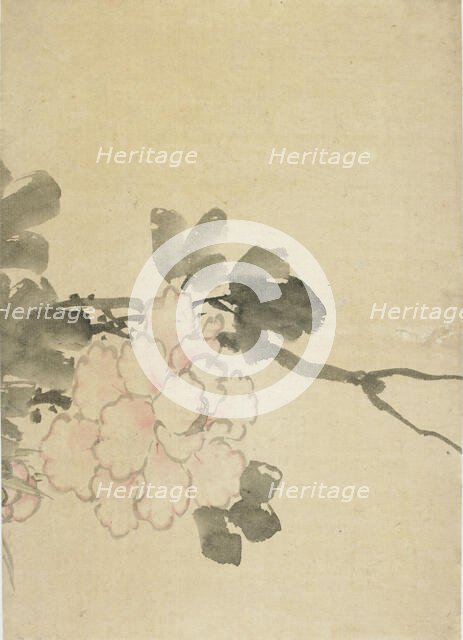 Peony, late 18th-early 19th century. Creator: Hokusai.