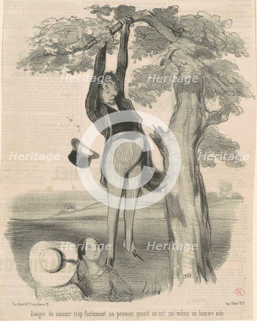 Danger de secouer trop fortement ... Un prunier, 19th century. Creator: Honore Daumier.