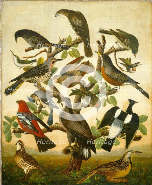 Birds, c. 1840. Creator: Unknown.