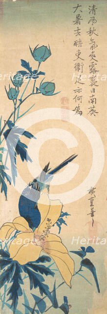 Blue Bird. Creator: Ando Hiroshige.