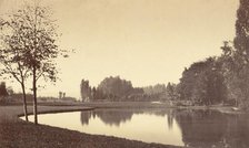 Bois de Boulogne, 1858. Creator: Charles Marville.