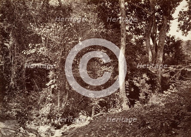 Tropical Scenery, View Near Chipigana, 1871. Creator: John Moran.