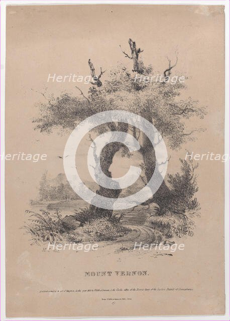 Mount Vernon with hidden silhouette of George Washington, 1832. Creator: Henry Inman.