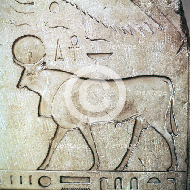 Egyptian relief of the bull-god Apis. Artist: Unknown