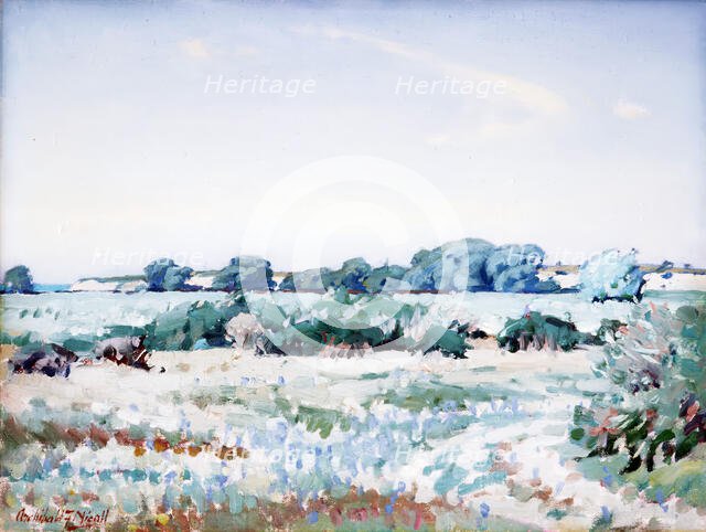 Pareora riverbed, 1920-1950. Creator: Archibald Frank Nicoll.