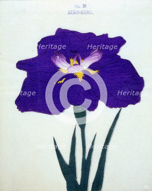 Kuro-Kumo, No 26.