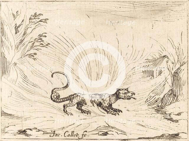 Salamander Surrounded by Flames. Creator: Jacques Callot.
