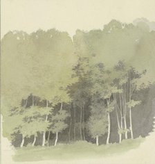 Edge of a wood, c1853. Creator: Carl Theodor Reiffenstein.