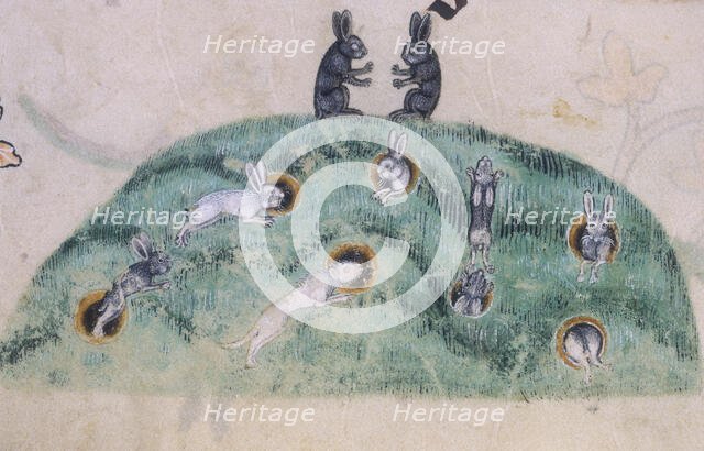 A rabbit warren, c1300-c1340. Creator: Unknown.