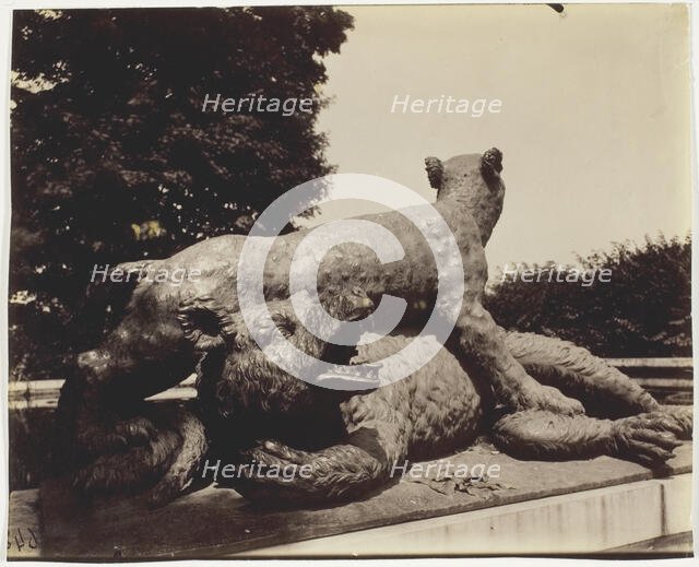 Versailles, Fontaine du Point du Jour, (Tigre Terrassant un Ours par Houzeau), 1903. Creator: Eugene Atget.