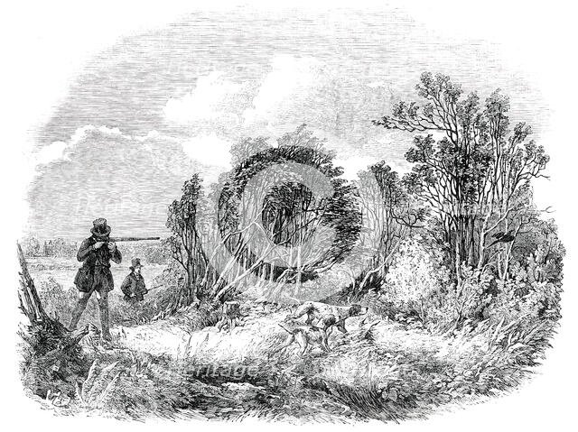 Pheasant-Shooting - drawn by Duncan, 1850. Creator: Unknown.