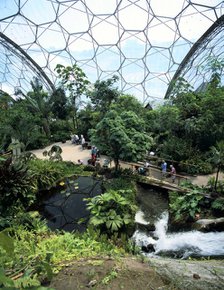 Inside the Humid Tropics Biome, Eden Project, Cornwall