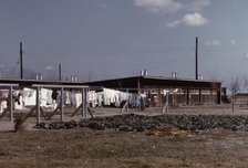 Community clothesline, FSA ... camp, Robstown, Tex., 1942. Creator: Arthur Rothstein.