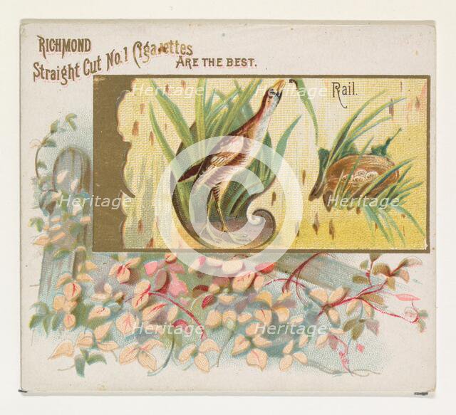Rail, from the Game Birds series (N40) for Allen & Ginter Cigarettes, 1888-90. Creator: Allen & Ginter.