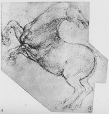 'Study of a Rearing Horse', c1480 (1945). Artist: Leonardo da Vinci.