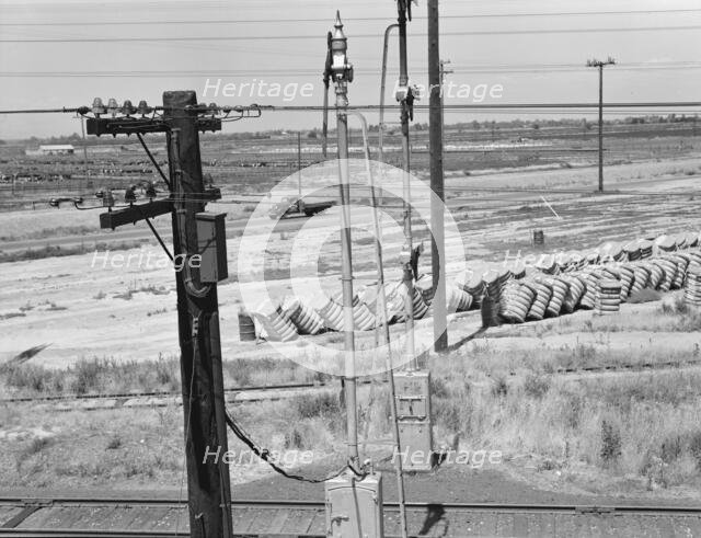 From the overpass approaching Fresno, between Tulare and Fresno, California, 1939. Creator: Dorothea Lange.