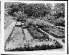 Gardens, Chestnut Hill, Brookline [sic], Mass., between 1910 and 1920. Creator: Unknown.
