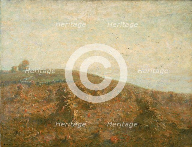 The Cornfield. Creator: Henry Ward Ranger.